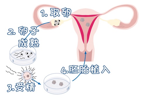 就诊指南